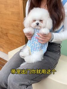 địu hình cinnamoroll và hello kitty cho cún miu đi chơi - dành cho chó mèo - T3 PETS SHOP