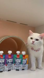 Soup Thưởng Wanpy Nắp Vặn 90g - Súp Thưởng Cho Mèo