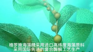 农用海藻精 农业浓缩海藻精 天然有机肥料  SOLUBLE SEAWEED EXTRACT FERTILISER