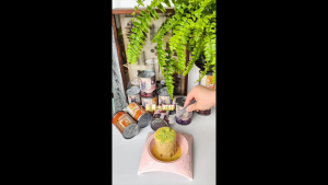 Makanan Dalam Tin Kucing 400g*1pc Makanan Kucing Basah 3 Perisa untuk Dipilih