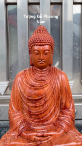 Tượng phật thích ca mâu ni cao 30 40 50cm chất liệu gỗ hương cực đẹp