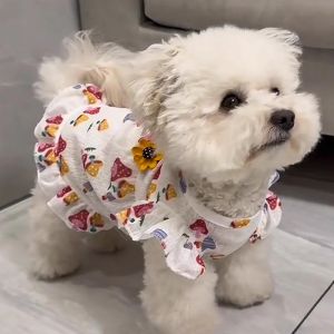 Petone dOrage | Summer Floral Lightweight Traction Anti-shedding Pet Skirt