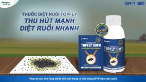 Thuốᴄ diệt ruồi Topfly 10WG gói 20g Hợp Trí bổ sung chất dẫn dụ giới tính và đường sữa