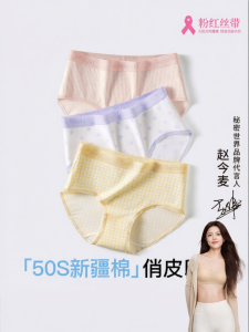 Secret World | Antibacterial Seamless Breathable Womens Cotton Briefs