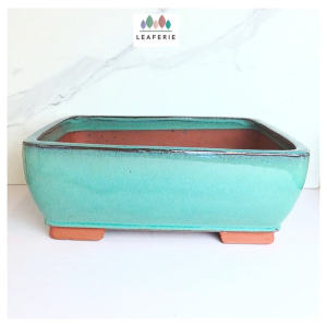 The Leaferie Bonsai Pot (Series 92) Rectangular Plant pot Ceramic Flowerpot Flower pots
