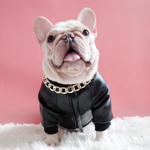 Pet Clothes Trendy Autumn and Winter Clothing Zipper Pu Motorcycle Leather Clothing Fat Dog Clothes Jarre Aero Bull Schnauzer Corgi
