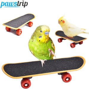 Mini Parrot Training Skateboard Creative Parrot Balance Toy for Small Medium Birds Interactive  Intelligence Training Toy