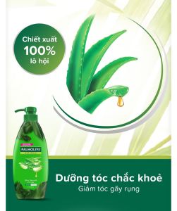 Dầu Gôi Palmolive Colgate_ 100% thiên nhiên sản xuất tại Thái lan