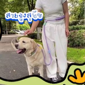สายจูงสนัขไหล่และเอว สายจูงสําหรับสุนัขเดินสบายถือด้วย NBR โฟมจับ