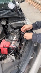 Tinh dầu chống chuột dành cho khoang máy ô tô thương hiệu Tâm An