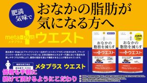 MDC Japan belly fat burner L-carnitine Black Ginger Extract Belly Slimming lose weight tablet 2 packs combo detox diet products increase metabolism