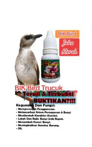 BIK Trucuk. Penggacor Burung Trucukan Atau Jogjrog.