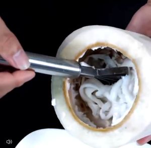 YYDS Stainless Steel Scraping Coconut Cutting Coconut Meat Tool Shaved