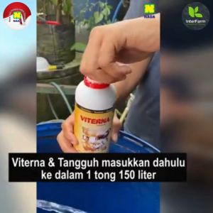VITERNA PLUS NASA Nutrisi Ternak Organik Rasa Asli untuk Kesehatan dan Pertumbuhan Produksi