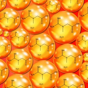 Kaged Creatine HCL(75 Capsules) ครีเอทีน ไฮโดรคลอไรด์ ชนิดแคปซูล เพิ่มแรง เพิ่มกล้าม ฟื้นฟูหลังซ้อม