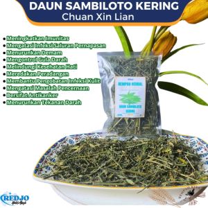 Teh Daun Sambiloto Kering Curah Sambilata Sambiroto Chuan xin lien Kering Organik Herbal Alami