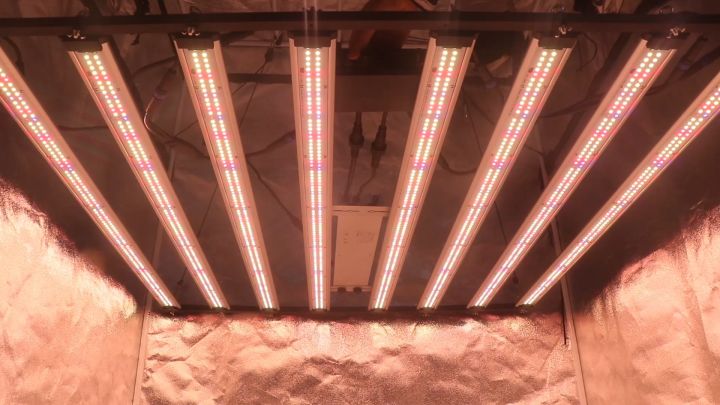 650W 800W 1000W ไฟปลูกต้นไม้ Full spectrum LED grow light SamsungLM301h ...