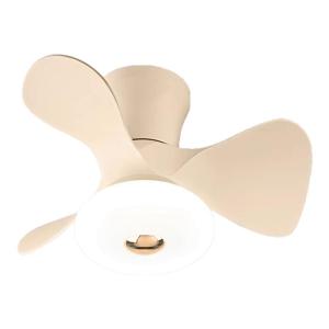 XUNZE | Compact Quiet Ceiling Fan Light