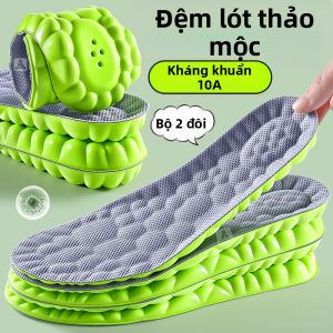 JVBV | Đệm Giày Thấm Sốc Đế Mềm