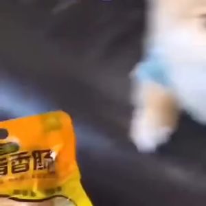 Matchwell Cat & Dog Finger Sausage Snack Treat Matchwell Kucing & Anjing Makanan Kudapan Sosej Jari 益和拇指香肠宠物零食火腿肠 24g