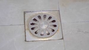2in1 Piring Dan Toilet Silikon Floor Drain Tutupan Silikon Saluran Air Kamar Mandi Anti Serangga