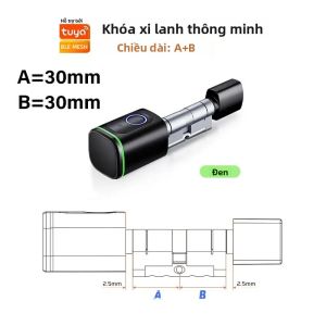 RAYKUBE V1 Khóa Xi Lanh Thông Minh Tuya BLE Vân Tay Thẻ IC Mật Khẩu Mở Khóa 3 * Pin AAA Đi Kèm Dễ Dàng Lắp Đặt Cho Cửa Thép/gỗ
