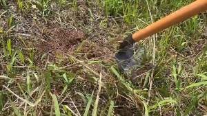PlantMate Cangkul Kepala Pengganti Baja Taman Cangkul Pertanian Cangkul Tangan Cangkul Tangan Alat Pelepas Cangkul Kepala untuk