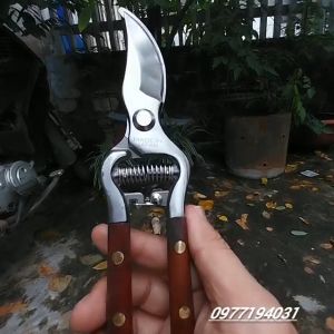 Kéo cắt cành cây NHẬT BẢN cao cấp tay ốp gỗ bằng thép trắng đúc không gỉ