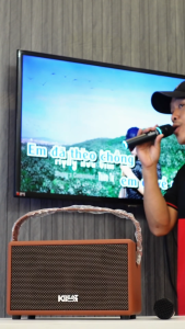 Loa xách tay ACNOS S60 dàn karaoke di động SONCAMEDIA S 60 Hàng chính hãng