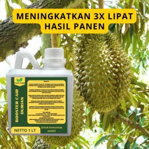 Pupuk Semprot Pelebat Buah DURIAN Pupuk Pelebat Buah DURIAN Pupuk Penyubur Buah DURIAN ZPT
