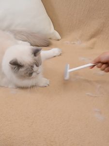 อุปกรณ์กำจัดขนเสื้อโค้ต2ด้าน2in1 ขายส่งผู้ผลิต แปรงขนสัตว์ไม่ทำลายเนื้อผ้า เครื่องโกนขนแบบพกพาสำหรับสัตว์เลี้ยง