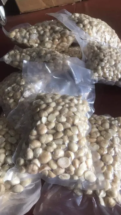 1kg nhân macca sấy chín vỡ đôi