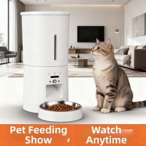 Micky Cat | Automatic Smart Timer Pet Feeder With Camera