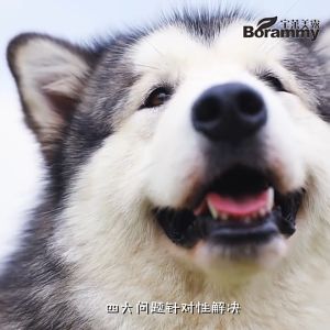 แชมพูสูงสุนัข เจลอาบ 500 ML แชมพูแมว, น้ำยาอาบ แชมพูหมา, ซื้อ ทั้งหมด