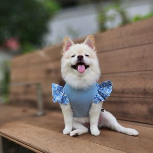 Dog Clothing Broderie Lace Dog Blouse | Breathable Summer Cotton | Ruffle Sleeves with White Lace | Size S to XL