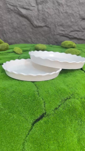 Bộ 10 đĩa lót chậu hoa đường kính 18cm màu trắng