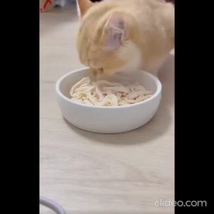 MORTITI Chicken Breast For Cat Chicken Breast For Dog Dada Ayam Kucing Dada Ayam Untuk Kucing