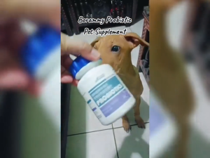 Borammy SEAWEED Beauty Hair Tablets /Borammy Pet Trace Elements Tablets  /Chondroitin Large Bone Calcium