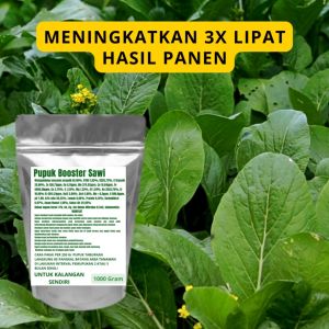 Pupuk Booster Sawi Pelebat Organik Cepat Berbuah Lebat Besar Anti Rontok Pembesar Sawi
