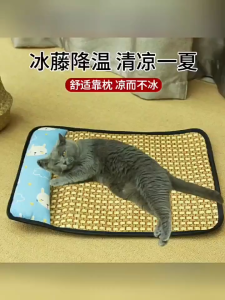 Thảm nệm nằm cho Chó Mèo bằng chiếu mây xốp bọt biển kiêm gối kê đầu - Love Pets Shop