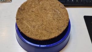 Sarang Burung Merpati Plastik: Wadah Tempat Burung Bertelur