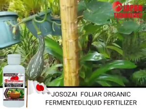 JOSOZAI - FOLIAR ORGANIC LIQUID FERTILIZER