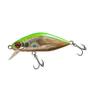 GUIDE POST | Mồi Cá Micro Jerkbait