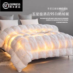 Five-Star Hotel 100% Duvet 95 White Goose down Quilt Inner Quilt for Spring and Autumn Wedding Thick Warm Winter Duvet