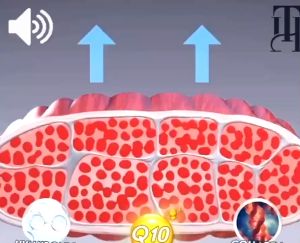 men and women HIP BUTT Enlargement GUMMIES Hip butt Enlargement Gummies is a popular body beauty food that enhances the curves of the buttocks Gumi pembesaran butang