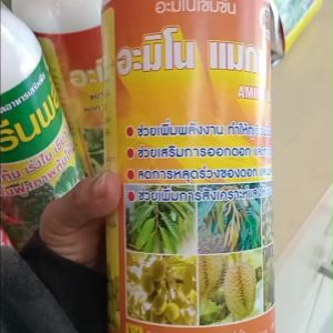 อะมิโนแม็กซ์42 ตรารถเก๋ง ช่วยเพิ่มพลังงานให้พืชโดยตรง เสริมการออกดอก และติดผลดีลดการหลุดร่วงของดอก