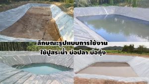 พลาสติกปูบ่อ พลาสติกปูบ่อปลา พลาสติกปูบ่อน้ำ ผ้ายางปูบ่อ คลูมดิน กว้าง 3.6 เมตร ยาว 40 หลา หนา 0.15 มม. (150 ไมครอน) รับประกัน 7 วัน สินค้า ConceptN