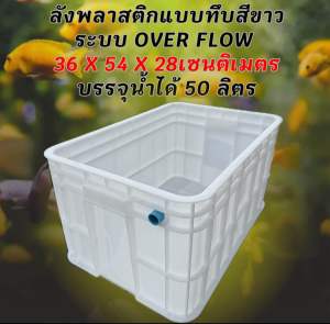 ลังพลาสติกแบบยาวทึบสีเทา ท่อสีฟ้า ระบบover flow สำหรับเลี้ยงปลา อ่างเลี้ยงปลา กะบะเลี้ยงปลา อ่างปลาบอลลูน อ่างปลาเมกา