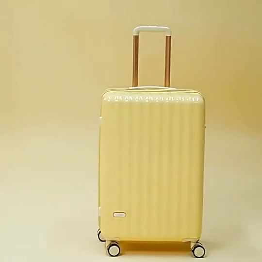 [3 Year Warranty] 20/24/28in Japanese Style Luggage YKK Zipper Suitcase
