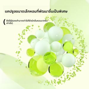 กล่องกำจัดกลิ่นรองเท้า Airfunk กล่องกำจัดกลิ่นสำหรับตู้เสื้อผ้า กล่องหอมฆ่าเชื้อแบคทีเรีย ของใช้ในบ้าน ขนาดปกติ ไม่เป็นของกลาง